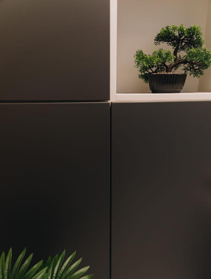 Tulip Apartment オラデア エクステリア 写真