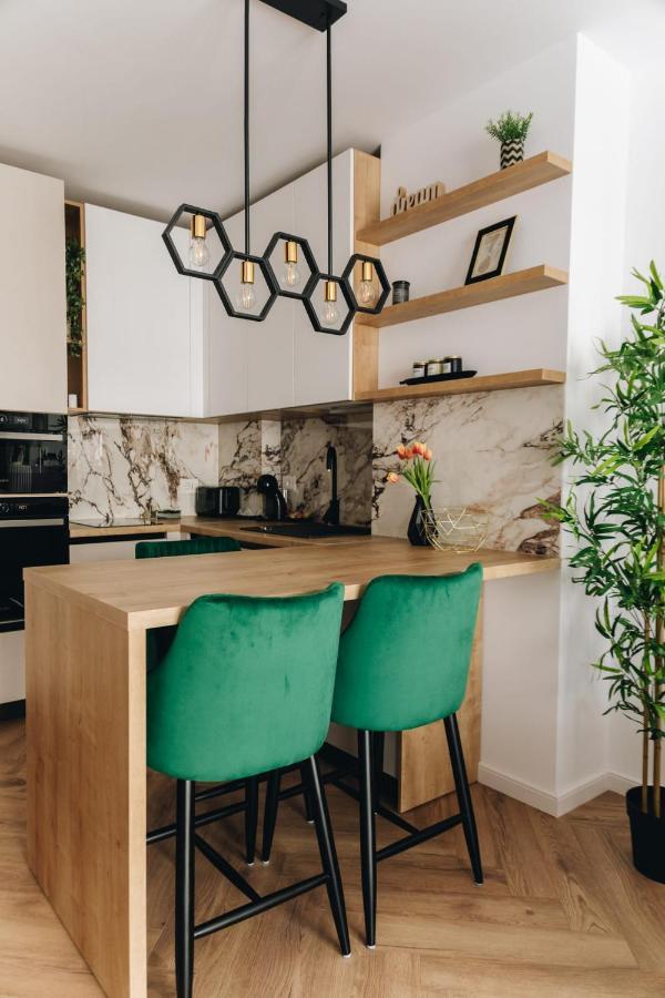 Tulip Apartment オラデア エクステリア 写真